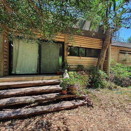 Chalet Los Troncos 사우세 데 포르테수엘로 외부 사진