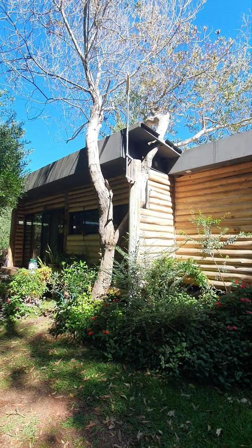 Chalet Los Troncos 사우세 데 포르테수엘로 외부 사진